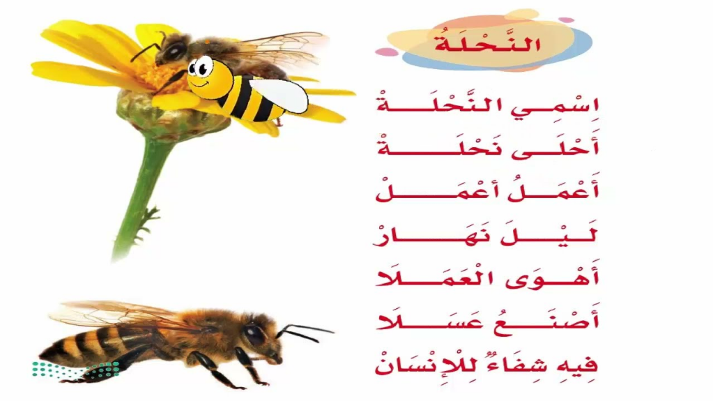 انشودة النحلة للصف الاول ابتدائي ، نشيد النحلة مكتوب